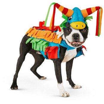 Petco Halloween Donkey Pinata Dog Costume, LARGE