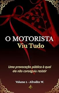 Livro O Motorista Viu Tudo : Uma provocação pública à qual ela não conseguiu resistir