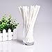 White Paper Straws Biodegradable Disposable Party Decoration and Party Drinking Straws 100 Count for Wedding, Birthday Party or any Themed Party (White-100)