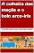 Livro A colheita das maçãs e o bolo arco-íris