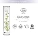 Organic Foaming Face Wash & Cream Cleanser - Luxury Natural Deep Pore Cleanser (Soothe + Soften) - Certified Vegan, Cruelty Free & Organic Foaming Cleanser (4 Oz) by Planted in Beauty