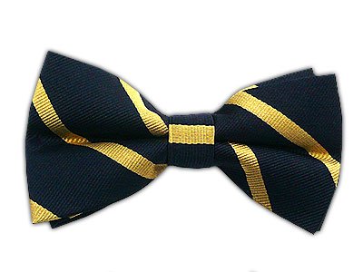 THE TIE BAR 100% WOVEN SILK NAVY STRIPED SELF-TIE BOW TIE