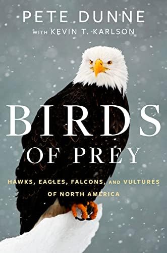 Birds of Prey of the World: Philip Burton: 9781850280859: Amazon