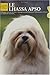 Le Lhassa Apso by 