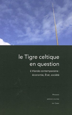 Le  tigre celtique en question