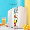 YANJ Portable Mini Fridge 12v 220v,Electric Cool Box Car refrigerator,Home And Car Dual Use Refrigeration And Heating Dual Use 18L Capacity 220V/12V LOLDF1