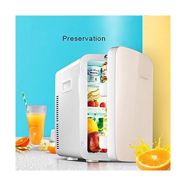 YANJ Portable Mini Fridge 12v 220v,Electric Cool Box Car refrigerator,Home And Car Dual Use Refrigeration And Heating Dual Use 18L Capacity 220V/12V LOLDF1