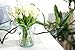 COOBL Artificial Silk Flower High Grade Decorative Tulip Flower Wedding Bouquet Bride Holding Garlands Vine DIY Floral Art Plant Bride Home Decor(20pcs) (White)