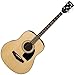 Ibanez PFT2NT Natural High Gloss PF Performance Series Tenor Acoustic Guitar w/ Stand