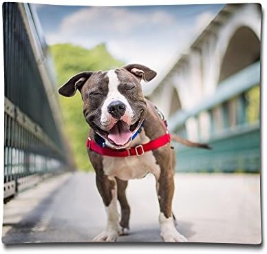 Miniisoul Pillowcase Covers 18"X18" Pillow Case Cover Cute Pit Bull Terrier Double Printed Cotton Square Throw Decorative Cushion For Sofa