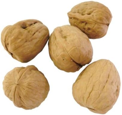 Amazon 太陽と大地の恵み くるみ ハッピーホリディ 餌 通販