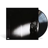NO STYLIST[LP]