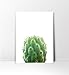 Cactus Print, Minimalist Print, Cacti, Modern Print, Minimalist Art, Cactus Printable Art, Minimalist Cactus, Art Print, Modern art, Green Plant Print, Plant Photography, Modern Plant Print, 8x10