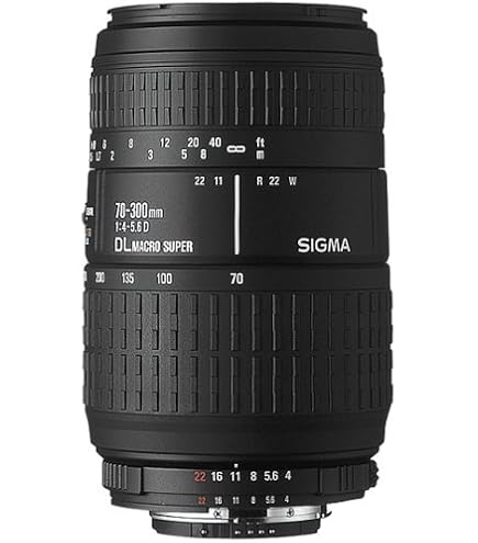 Amazon.com : Sigma 70-300mm f/4-5.6 DG Macro Motorized