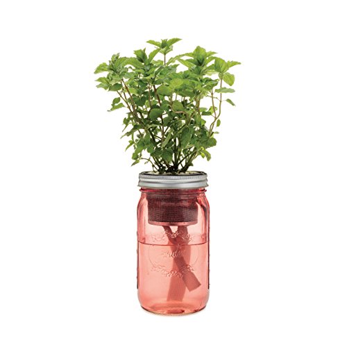 Kitchen Herb Kit – Three Self-watering Indoor Planters with Organic Basil, Organic Parsley, and Non-gmo Mint Seeds.