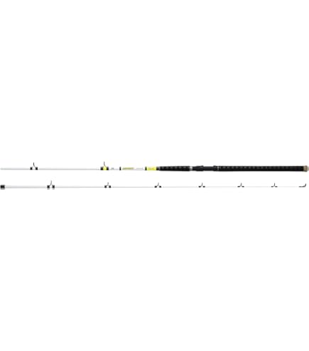 Amazon.com : Daiwa Beef Kitty Catfish Rod 12ft Medium Heavy