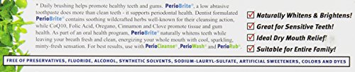 Nature's Answer PerioBrite Toothpaste, Cinnamint, 4-Ounces