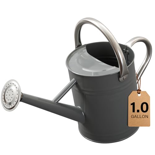 Shopwithgreen 1-Gallon Watering Can