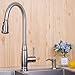 Soap Dispenser for Kitchen Sink, Avola Brushed Nickel Soap Dispenser, Best Plastic Built in Pump Kitchen Sink Dish Soap Dispenser