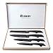 Coiwin Ceramic knives with Sheaths Super Sharp and Rust Proof and Stain Resistant (6