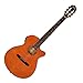 Ibanez AEG10NII Nylon String Cutaway Acoustic-Electric Guitar Tangerine
