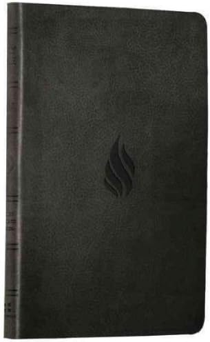 (Value Thinline Bible-ESV-Filigree) By Crossway Bibles (Author) Hardcover on (05 , 2010) Hardcover – 15 Jun. 2010