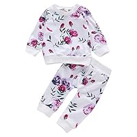 Borlai Baby Flower Printed Outfits Raglan Sleeve Pullover Tops Sweatshirt + Pants 2pcs (6-12 Month)