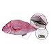 Qiekenao 2 Piece 2017 Catnip Toys Simulation Plush Snapper Fish Shape Doll Interactive Pets, Salmon and Red