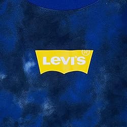 Levi's Boys' Long Sleeve Batwing T-Shirt, Web Blue, 6