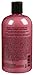 philosophy - raspberry sorbet shower gel, 16 oz