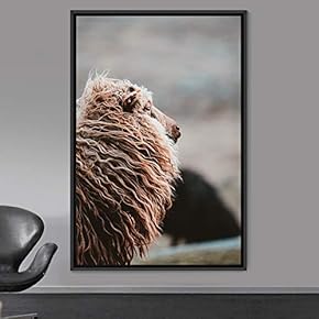 signwin Framed Canvas Wall Art Sheep Animals Expressive...