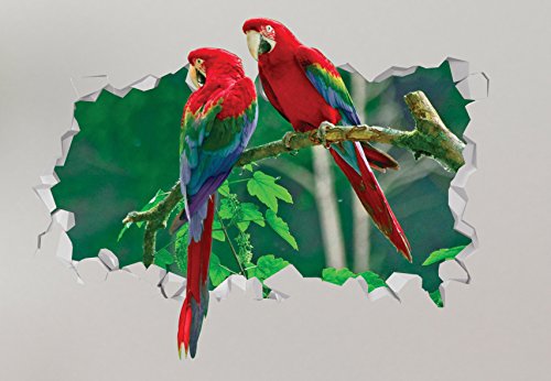 Bird Parrot Wall Decal Smashed 3D Sticker Vinyl Decor Mural Animal Wild - Broken Wall - 3D Designs - LS85 (Small (Wide 22" x 12" Height))