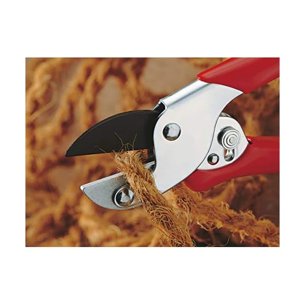 WOLF-Garten - Amboss-Gartenschere »Aktion« RS-EN; 7210060, Basic – Bild 7
