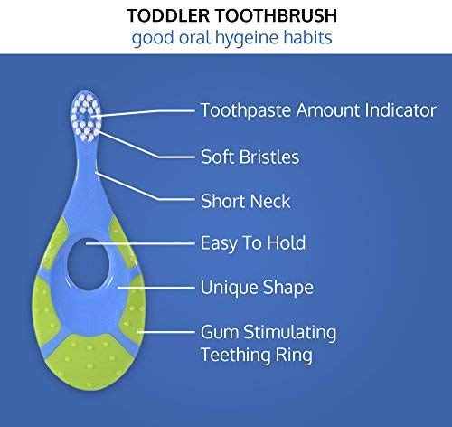Baby/Toddler Small Teether Toothbrushes 4-Pack, Oral Hygiene, Blue and Green