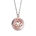 Diffuser Necklace Pendant Locket for Essential Oil Aromatherapy Rose Red