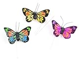 Touch of Nature 24154 Small Feather Monarch, 1-3/4-Inch, Butterfly