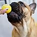 LLSPET Latex Dog Chewing Squeaky Ball Toys Face Fetch Play Toy for Puppy Small Medium Pets Dog cat 6PCS/Set