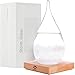 Storm Glass Weather Stations Water Drop Weather Predictor Creative Forecast Nordic style Decorative Weather Glass