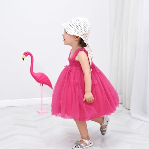 Miipat Dresses for Babies Girls Butterfly Tulle Sleeveless Little Girl Princess Dress Birthday Party Wedding Flowers Girl Dress