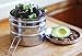 ECOlunchbox Tri Bento 3-Tier Stainless Steel Lunch Box | 4.5 Cups (36 oz) Capacity | 5.25 x 5.25 x 4 inches (13.5 x 13.5 x 10 cm) | Perfect for Meal Prep, Snacks & Portion Control | Durable, BPA Free