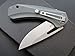 Eafengrow EF74 Folding Flipper Knife Ball Bearing Tactical EDC Tool with Pocket Clip Good for Outdoor Camping Hunting Survival Activities (EF74-gray)