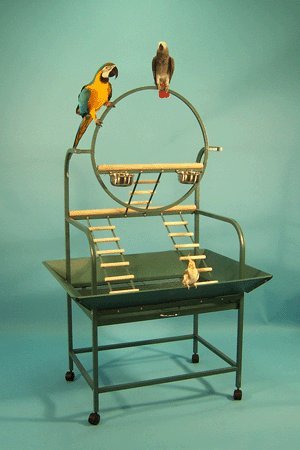 image for BirdCages4Less Hanalei Hangout Bird Playstand - 32 1/2