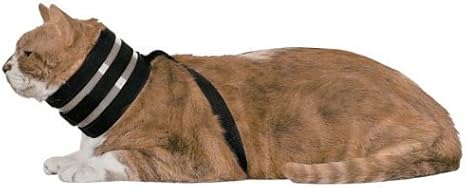 Bitenot Collier Pour Chat Amazonfr Animalerie