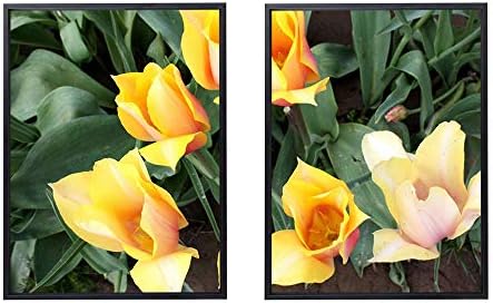 50x70cm X2枚 ライト高級 クリスタル磁器の装飾画 黒アルミ合金フレーム 花壇緑春を流れるチューリップ花 アートパネル 壁掛け絵画 インテリアアート 現代 壁飾り 部屋飾り 壁ポスター 絵画 玄関 おしゃれ モダン 壁掛け Modernzeg Hu