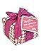 Rustichella d'Abruzzo Amarena Cherry Panettone Italian Christmas Cake Bread Imported from Italy 750g
