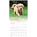 Puppies 2018 Calendar