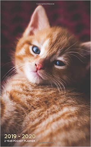 2019 2020 2 Year Pocket Planner Monthly Agenda Organiser Cute Ginger Kitten 24 Month Calendar Planners Pretty Lovers Cat 9781723951763 Amazon Com Books