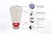 Travel Bottle Set with Leak Proof Silicone Bottles and Cream Jar in TSA Approved EVA Bag. Suitable for all Toiletries such as Shampoo and Conditioner. Bottles are 3 oz, 2 oz and 1.25 oz - Clear
