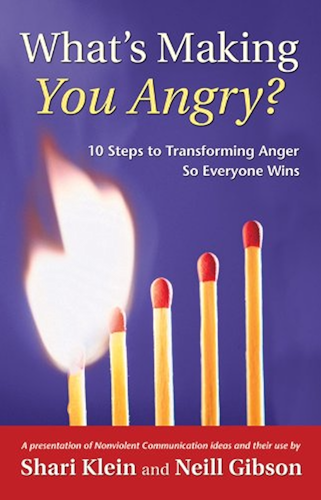 Download What's Making You Angry?: 10 Steps to Transforming Anger So Everyone Wins (Nonviolent Communication Guides) (English Edition) PDF