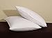 Pacific Coast Hospitality Tria Queen Size 2-Pillow Set With 2 Queen Size Pillowtex Pillow Protectors
